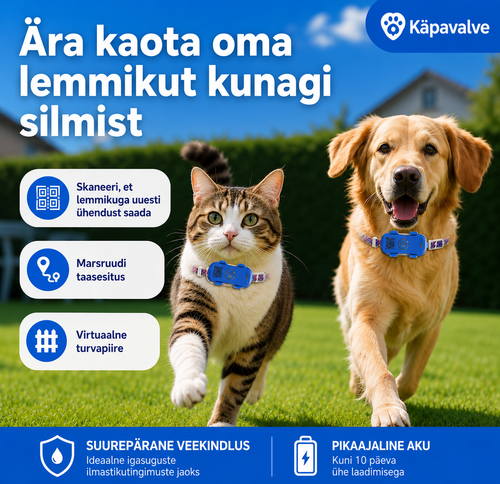Lemmiklooma GPS-jälgija – eluaegne tasuta rakenduse kasutamine